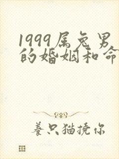1999属兔男的婚姻和命运