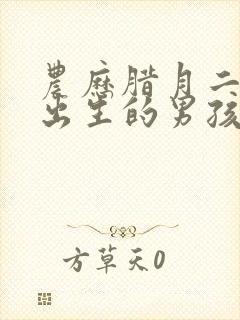 农历腊月二十五出生的男孩命运怎么样