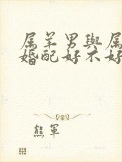 属羊男与属兔女婚配好不好封面