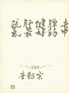 疏肝健脾去寒湿气最好的中成药封面