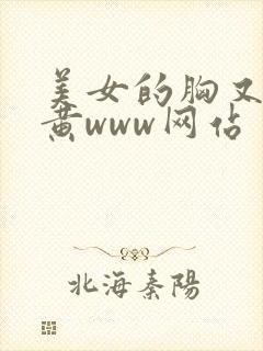 美女的胸又大又黄www网站