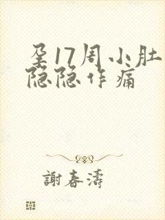 孕17周小肚子隐隐作痛封面