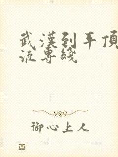 武汉到平顶山物流专线