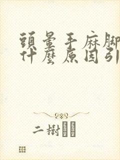 头晕手麻脚麻是什么原因引起的封面