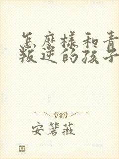 怎么样和青春期叛逆的孩子相处