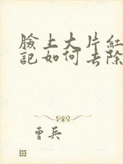 脸上大片红色胎记如何去除封面