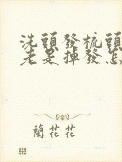 洗头发梳头发时老是掉发怎么办