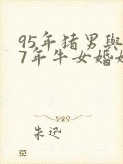 95年猪男与97年牛女婚姻配吗