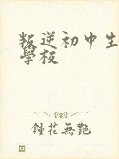 叛逆初中生管教学校