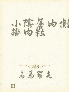 小阴唇内侧有一排肉粒