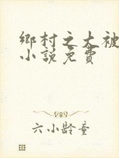 乡村之大被同眠小说免费