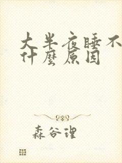 大半夜睡不着是什么原因封面