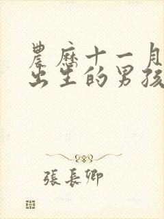 农历十一月十六出生的男孩命运怎样