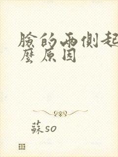 脸的两侧起痘什么原因