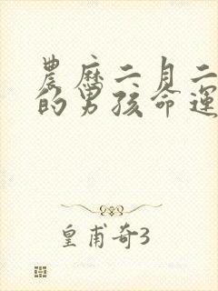 农历二月二出生的男孩命运