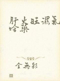 肝火旺湿气重吃啥药