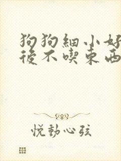 狗狗细小好了以后不吃东西怎么办