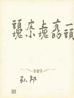 头皮上有一些小块小块的头皮屑