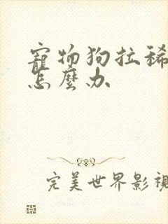 宠物狗拉稀带血怎么办