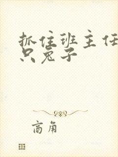 抓住班主任的两只兔子