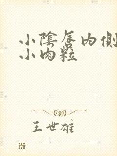 小阴唇内侧有个小肉粒