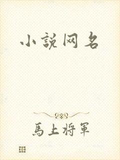小说网名