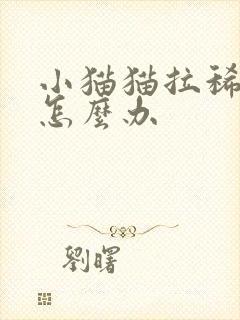 小猫猫拉稀呕吐怎么办