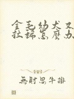 金毛幼犬又吐又拉稀怎么办封面