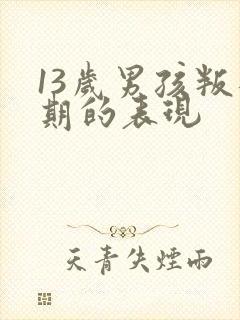 13岁男孩叛逆期的表现