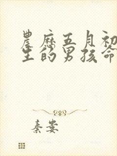 农历五月初三出生的男孩命运封面