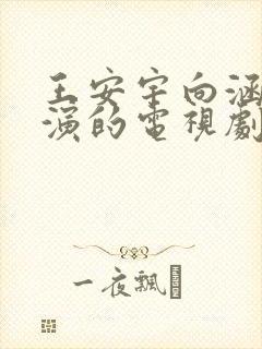 王安宇向涵之主演的电视剧