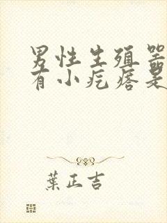 男性生殖器包皮有小疙瘩是怎么回事