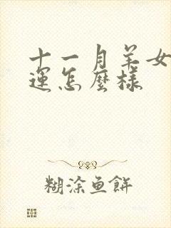 十一月羊女的命运怎么样封面