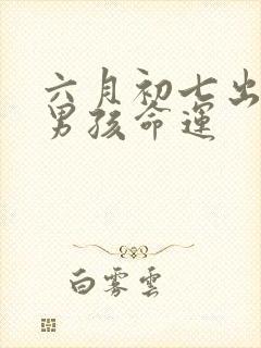 六月初七出生的男孩命运封面