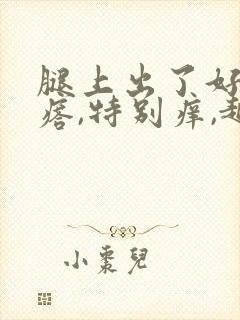 腿上出了好多疙瘩,特别痒,越抓越痒封面