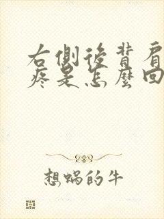 右侧后背肩胛骨疼是怎么回事女性