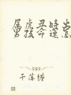 属虎丑时出生的男孩命运怎么样