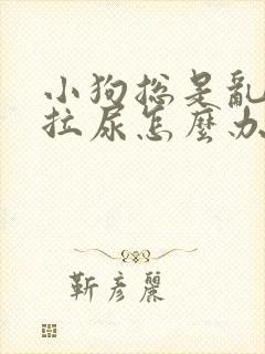 小狗总是乱拉屎拉尿怎么办