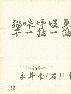 猫咪呼吸急促肚子一抽一抽的封面