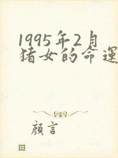 1995年2月猪女的命运怎么样封面