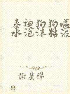 泰迪狗狗呕吐黄水泡沫粘液