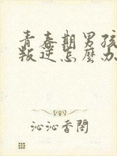 青春期男孩严重叛逆怎么办