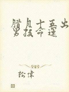 腊月十五出生的男孩命运封面