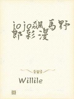 jojo飙马野郎彩漫
