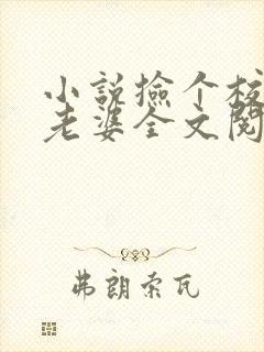 小说捡个校花做老婆全文阅读