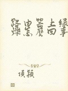 路由器上绿灯闪烁怎么回事