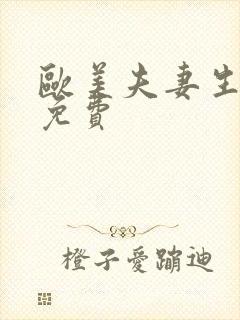 欧美夫妻生活片免费