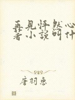 再见怦然心动原著小说叫什么名字