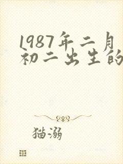 1987年二月初二出生的人命运封面