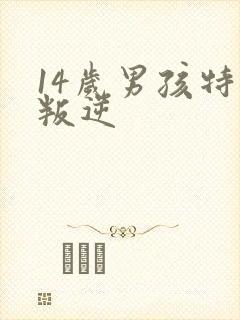 14岁男孩特别叛逆